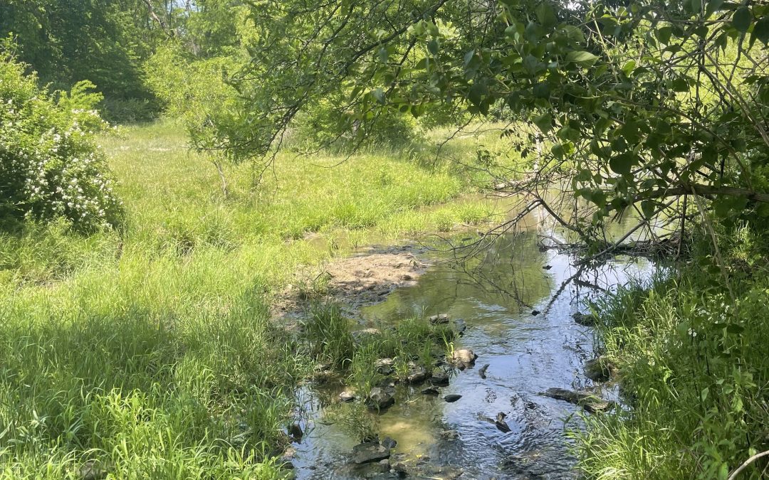 Where the Water Goes: Studying Water Quality and Hydrology in Diversified Ag Systems