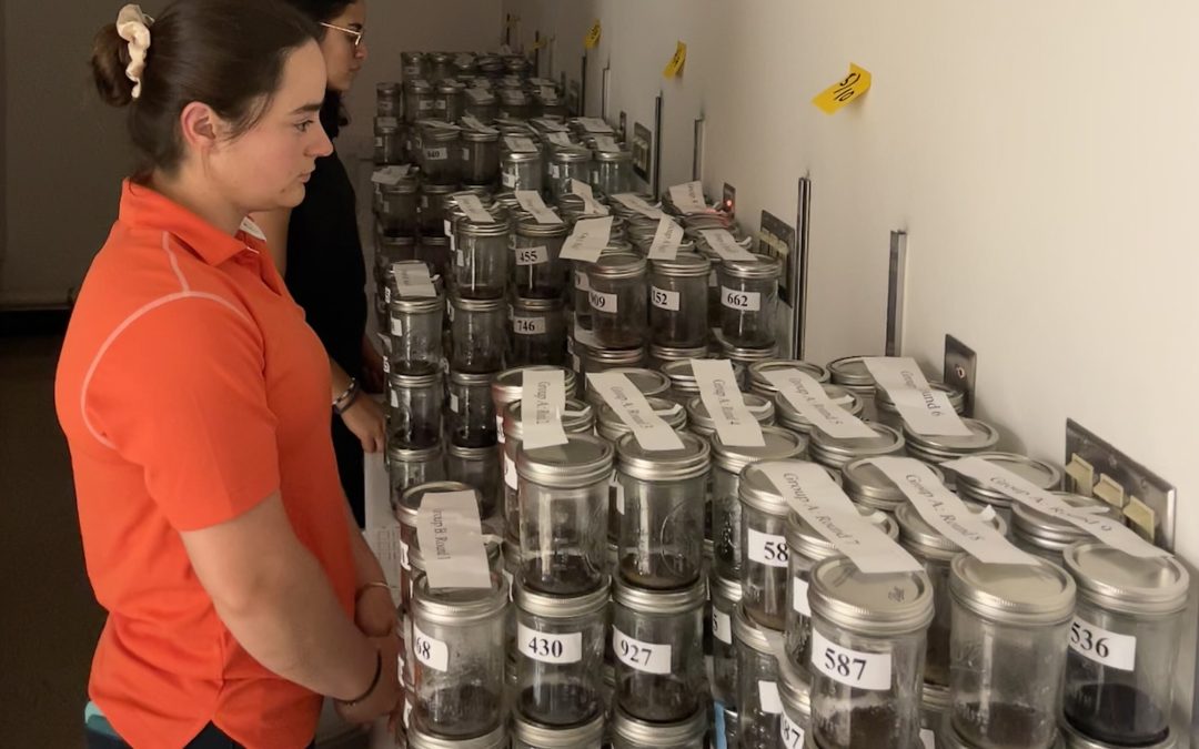 Something’s Brewing: Coffee and a Soil Health Smell Test