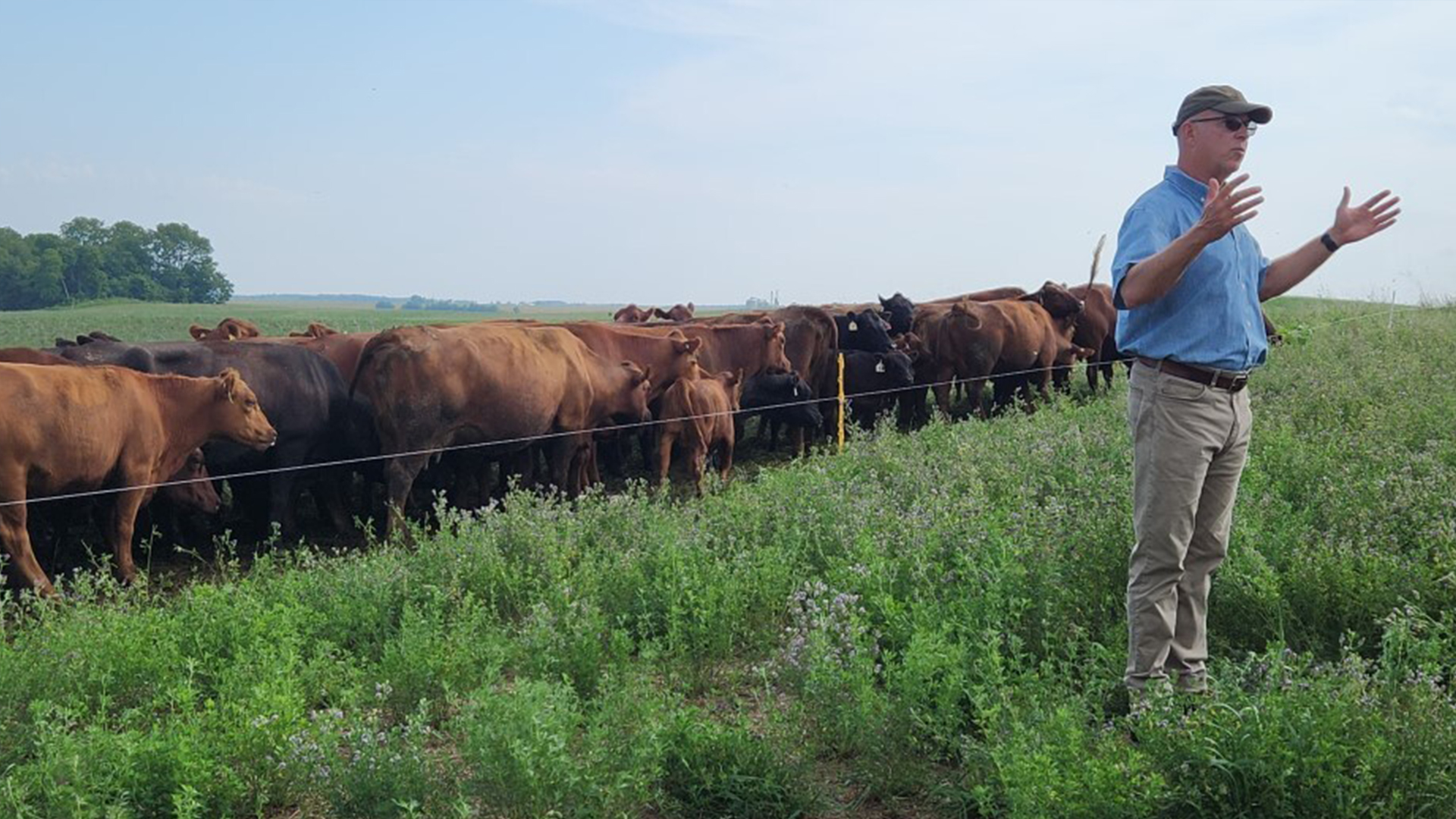 DeSutter and Cows 2 web