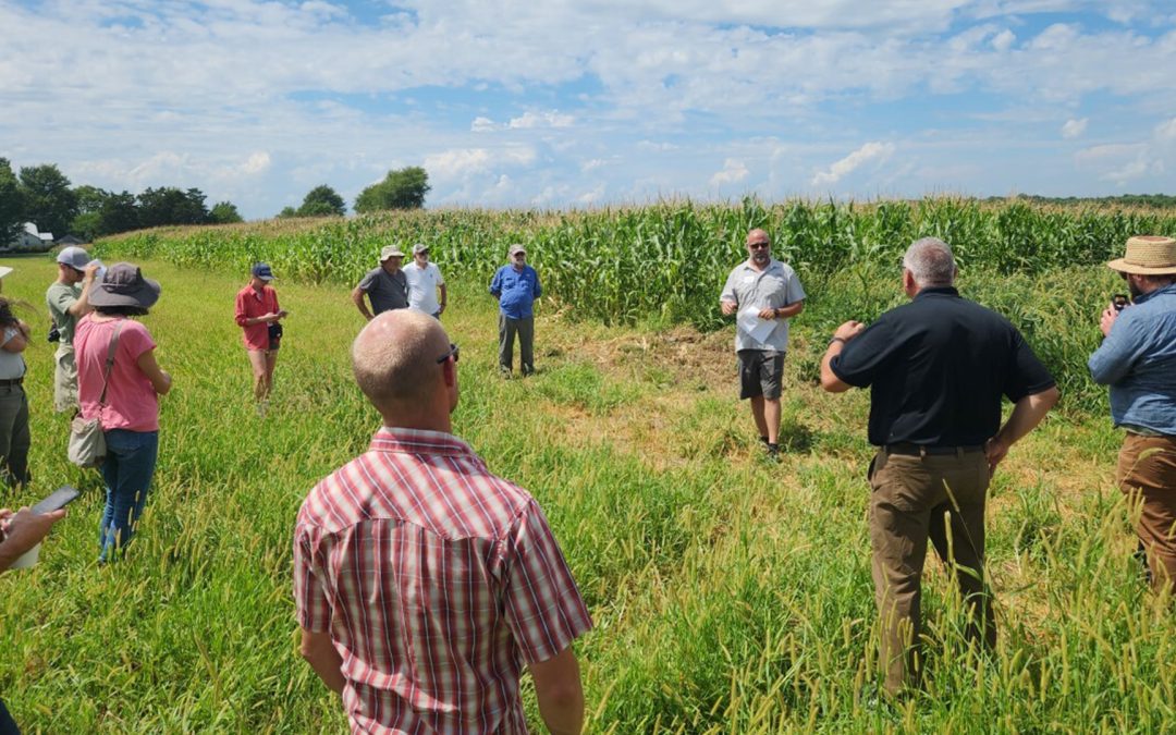 DCB Engages with Farmers through Farm Tours and Field Days