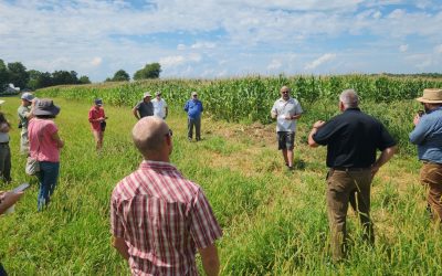 DCB Engages with Farmers through Farm Tours and Field Days