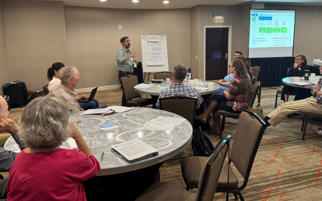 The Ethics of Diversification: Philosophy’s Role in DCB