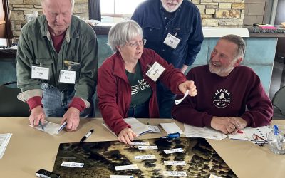 Envisioning Rural Landscape Diversity with the Help of AI